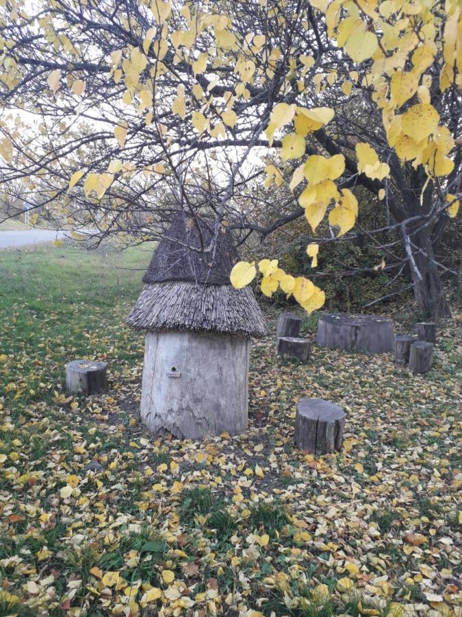 Медова Садиба Szubotyiv Kültér fotó