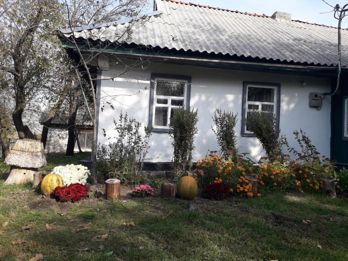 Медова Садиба Szubotyiv Kültér fotó